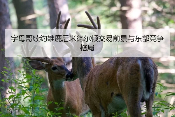 字母哥续约雄鹿后米德尔顿交易前景与东部竞争格局